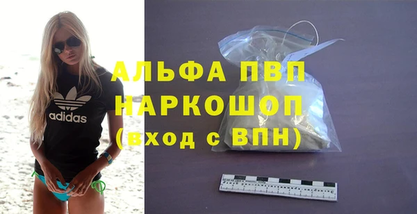 дживик Снежногорск